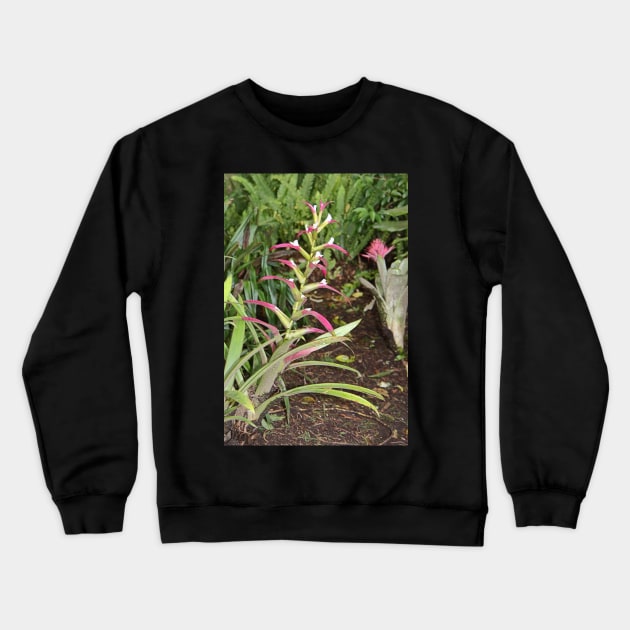 Bromeliads Crewneck Sweatshirt by Carole-Anne